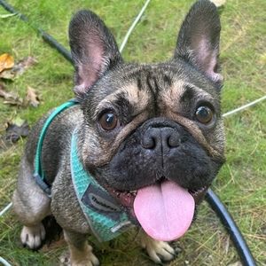 Meet your Posher, Kyle